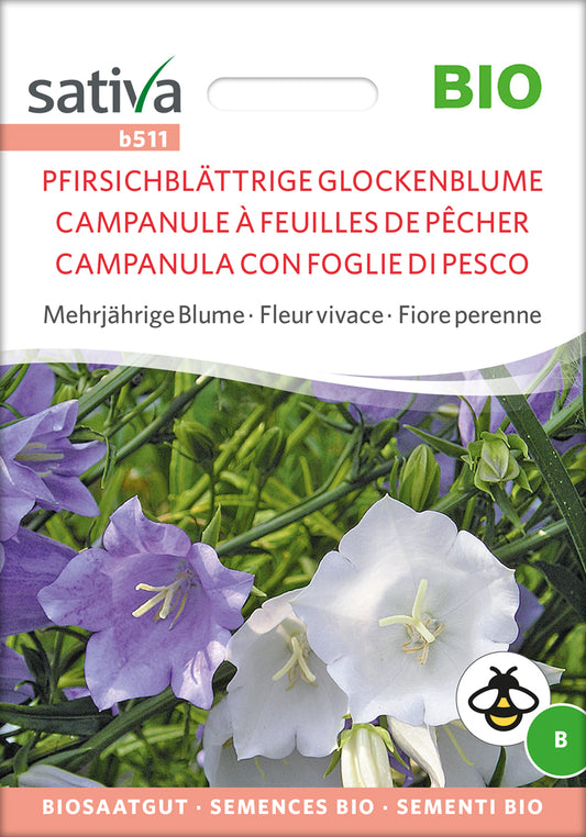 Pfirsichbl. Glockenblume | BIO Glockenblumensamen von Sativa Rheinau