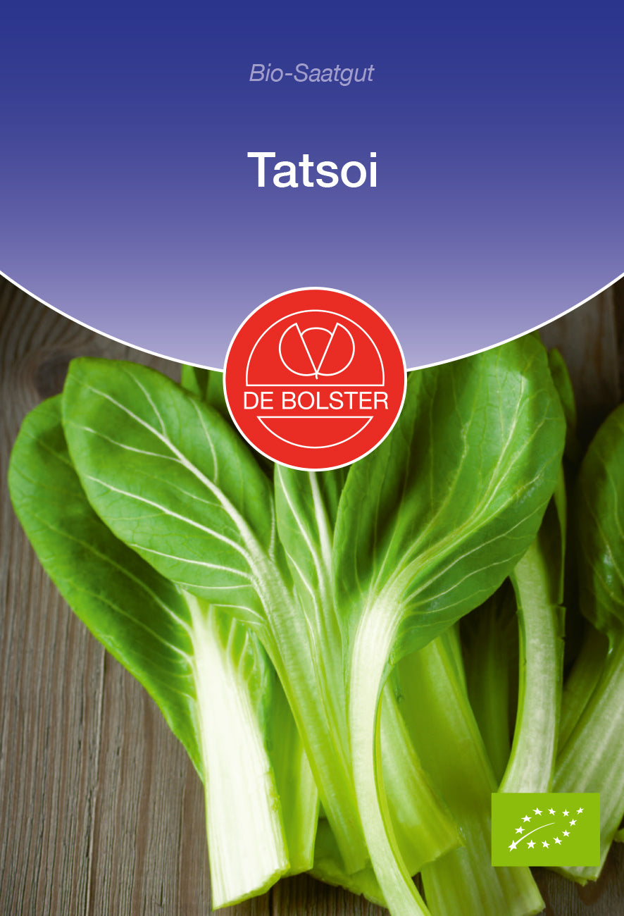Artikelbild 1 von "BIO Tatsoi" aus der Kategorie Asiasalatsamen