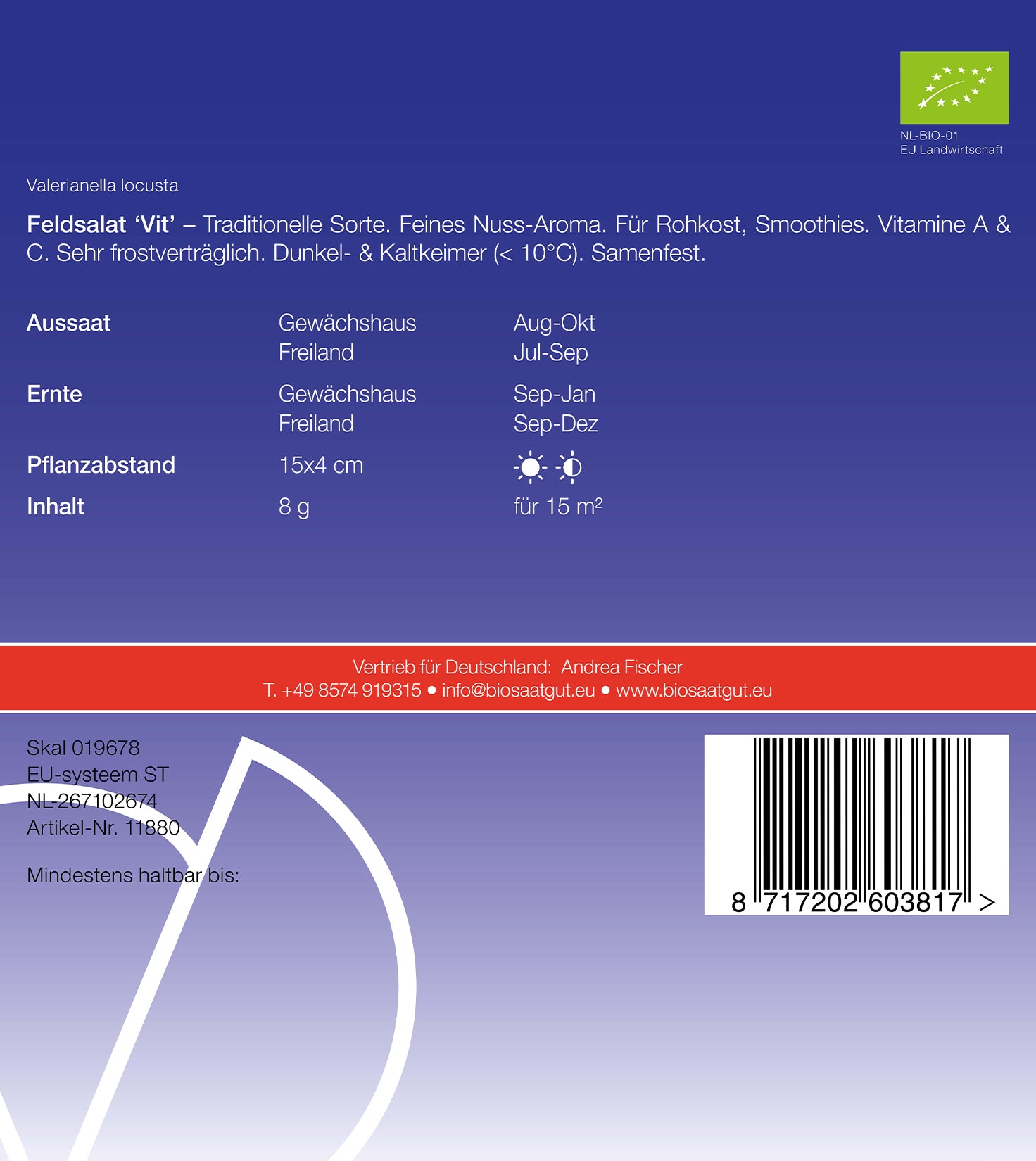 Artikelbild 2 von "BIO Feldsalat Vit" aus der Kategorie Feldsalatsamen