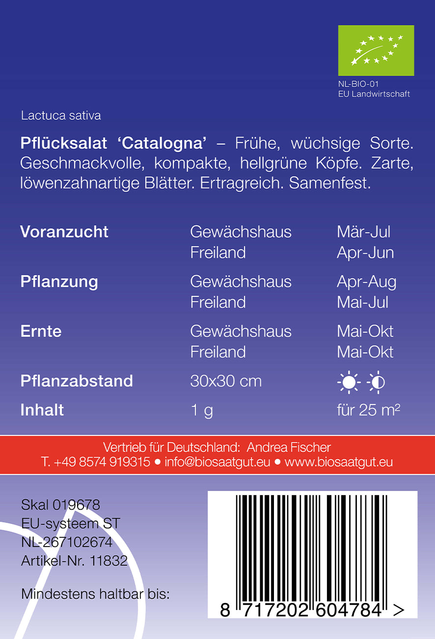 Artikelbild 2 von "BIO Pflücksalat Catalogna" aus der Kategorie Pflücksalatsamen