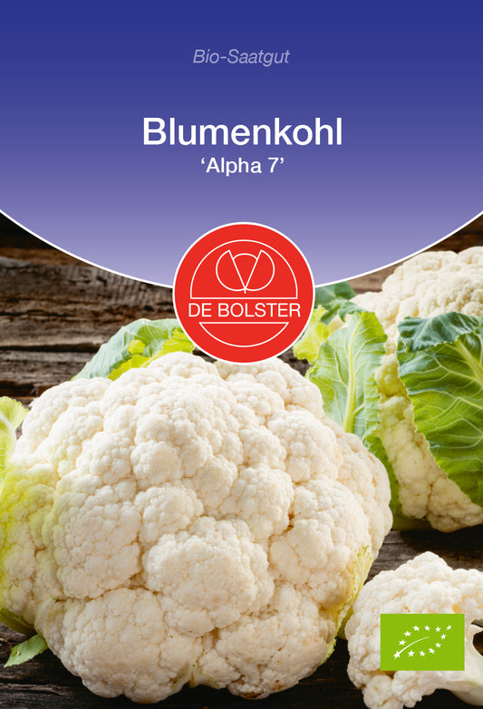 Blumenkohl Alpha 7 | BIO Blumenkohlsamen von De Bolster [MHD 12/2024]