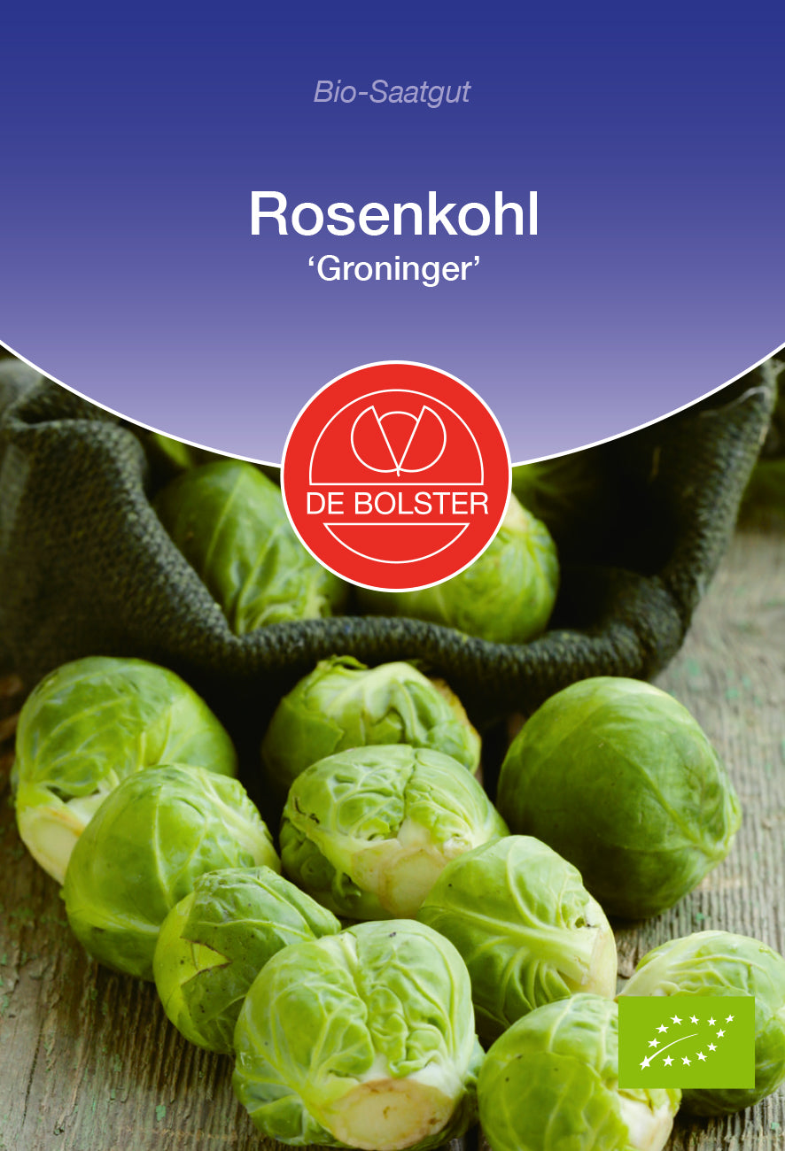 Artikelbild 1 von "BIO Rosenkohl Groninger" aus der Kategorie Rosenkohlsamen