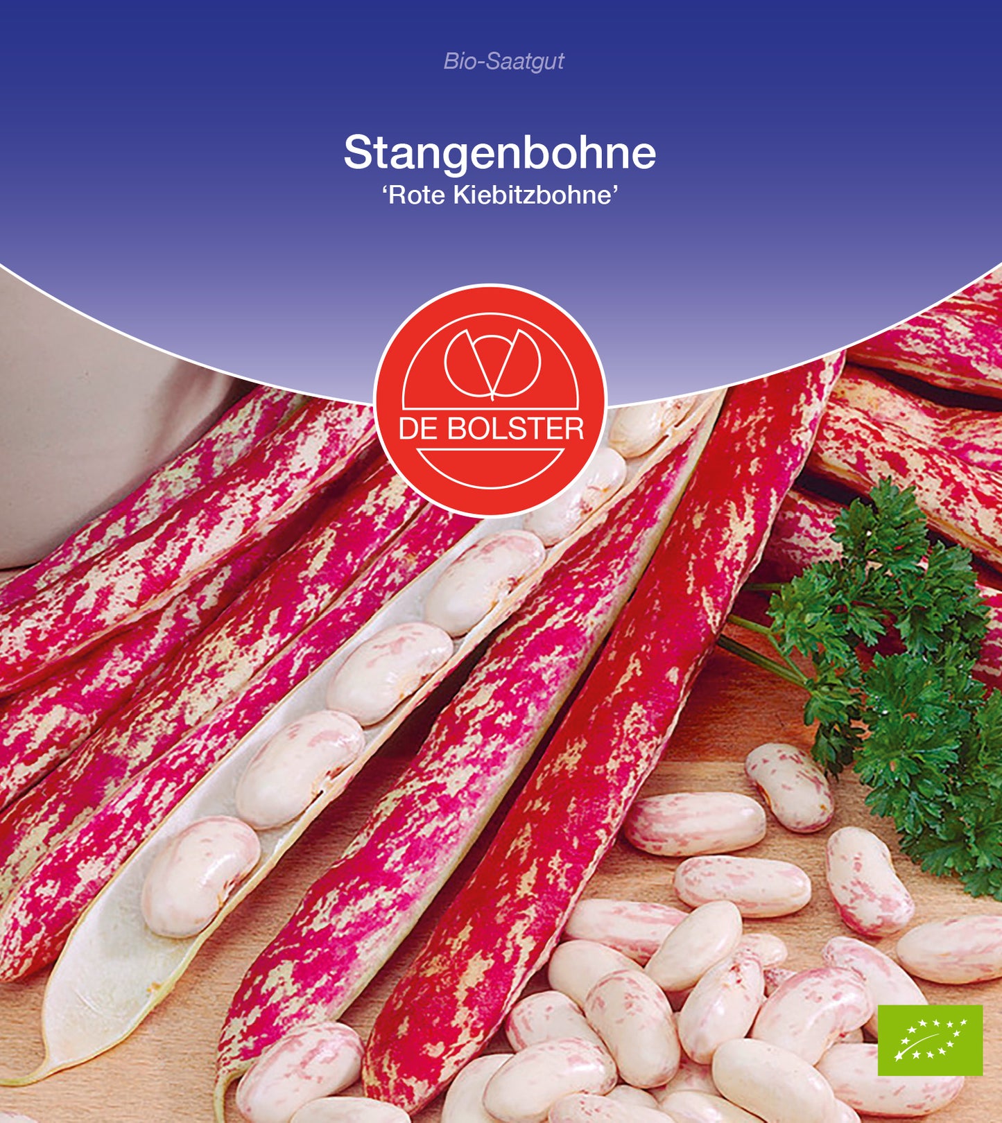 Artikelbild 1 von "BIO Stangenbohne Rote Kiebitzbohne" aus der Kategorie Stangenbohnensamen