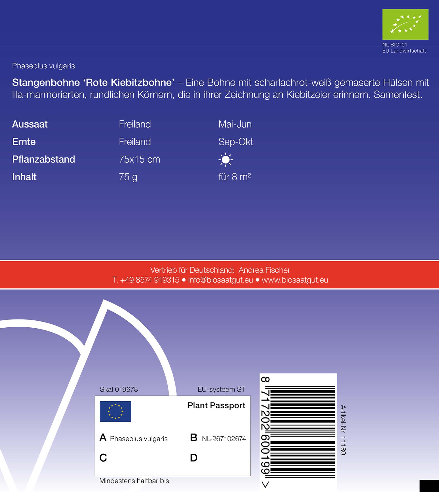 Artikelbild 2 von "BIO Stangenbohne Rote Kiebitzbohne" aus der Kategorie Stangenbohnensamen