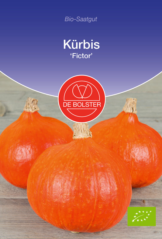 Artikelbild 1 von "BIO Kürbis Fictor" aus der Kategorie Kürbissamen
