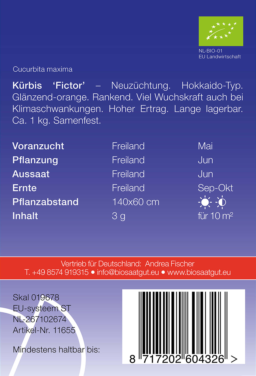 Artikelbild 2 von "BIO Kürbis Fictor" aus der Kategorie Kürbissamen