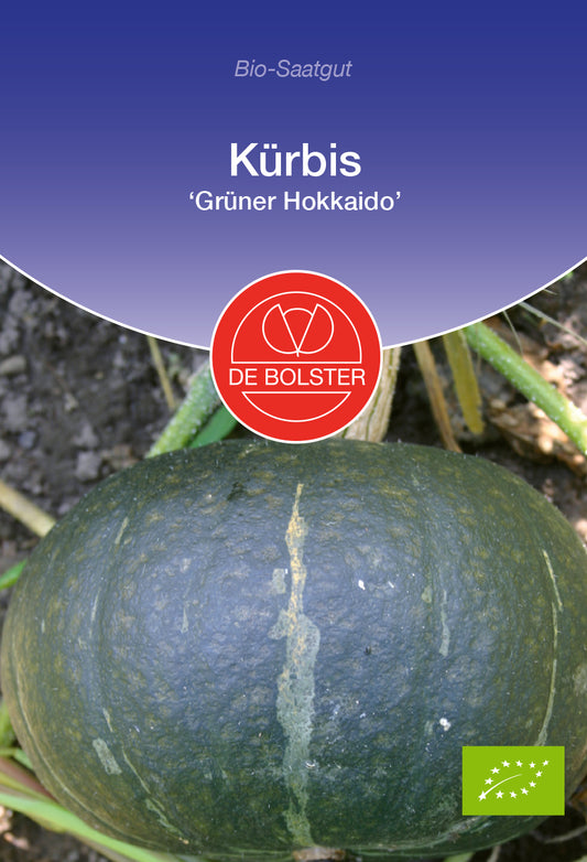 Artikelbild 1 von "BIO Kürbis Grüner Hokkaido" aus der Kategorie Kürbissamen