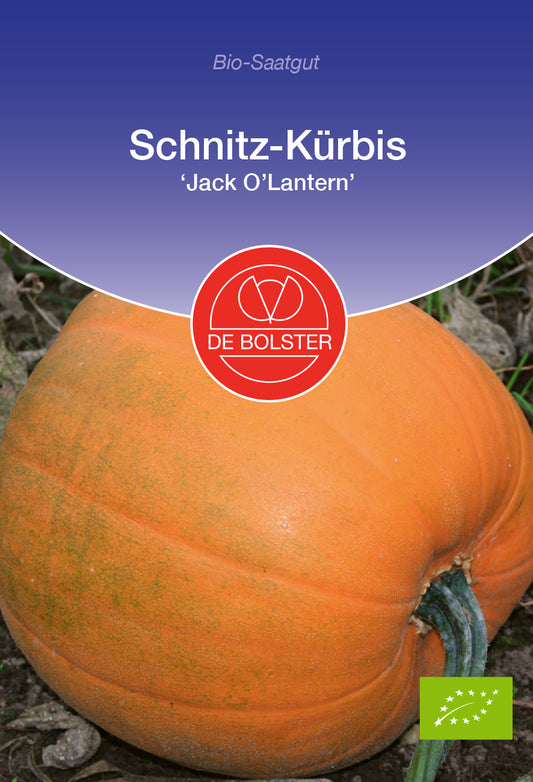 Artikelbild 1 von "BIO Schnitz - Kürbis Jack O'Lantern" aus der Kategorie Kürbissamen