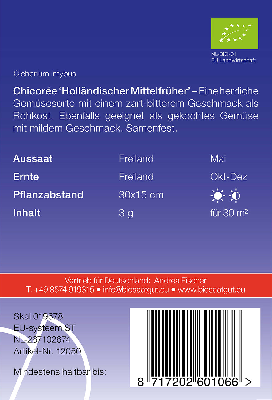 Artikelbild 2 von "BIO Chicorée Holländischer Mittelfrüher" aus der Kategorie Chicoréesamen