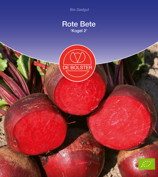 Rote Beete Kugel 2 | BIO Rote Beetesamen von De Bolster [MHD 12/2023]