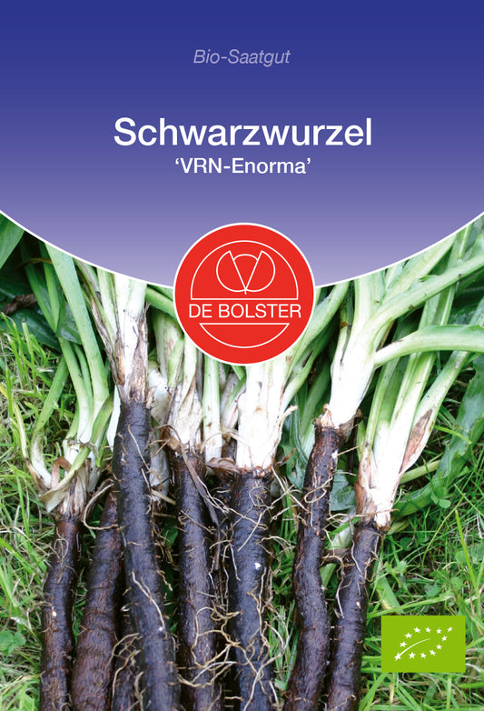 Artikelbild 1 von "BIO Schwarzwurzel VRN - Enorma" aus der Kategorie Schwarzwurzelsamen