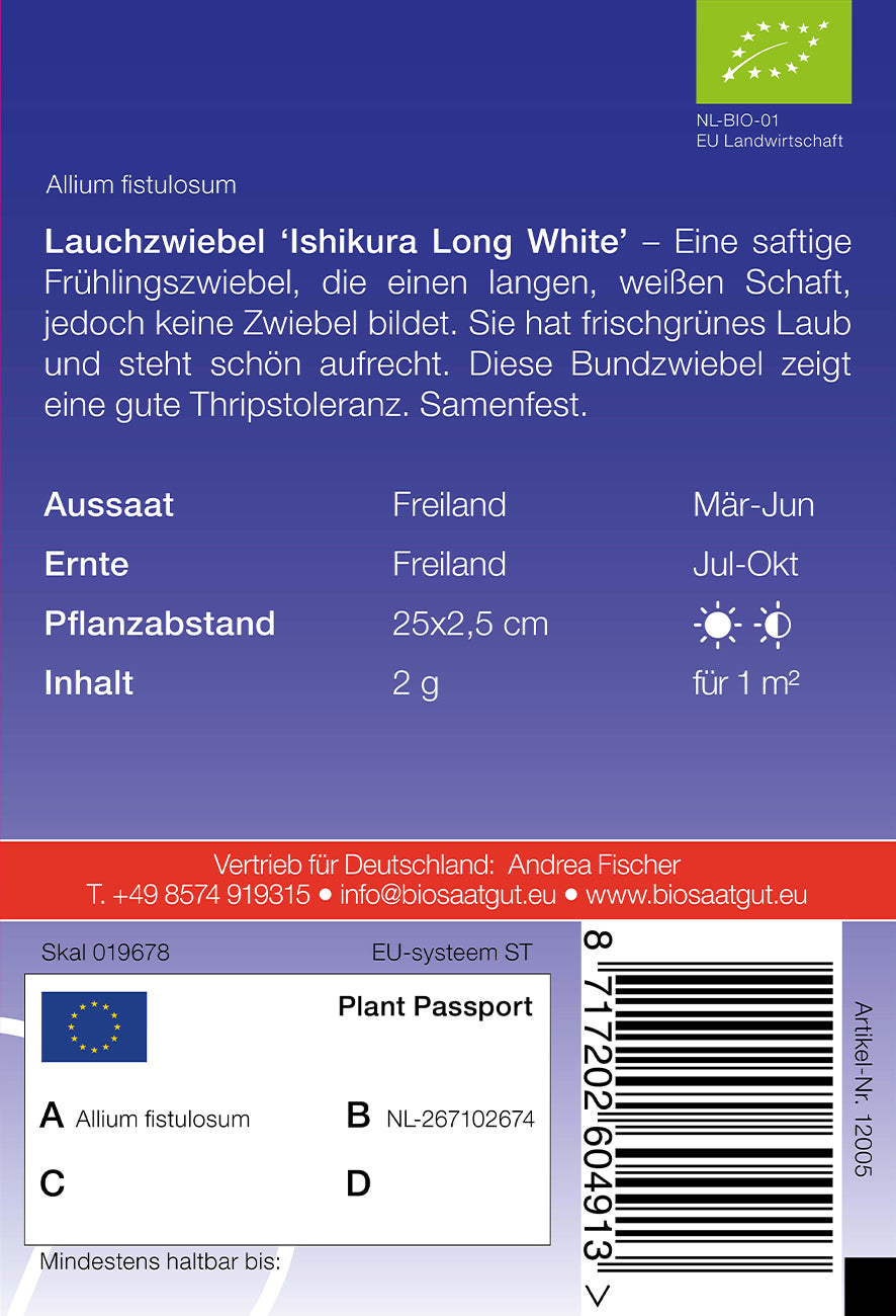 Artikelbild 2 von "BIO Lauchzwiebel Ishikura Long White" aus der Kategorie Lauchsamen