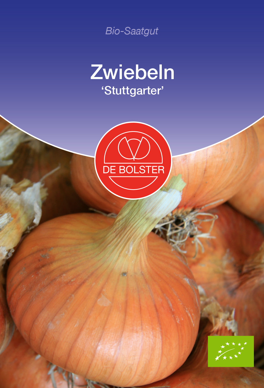 Artikelbild 1 von "BIO Zwiebeln Stuttgarter [MHD 12/2025]" aus der Kategorie Zwiebelsamen