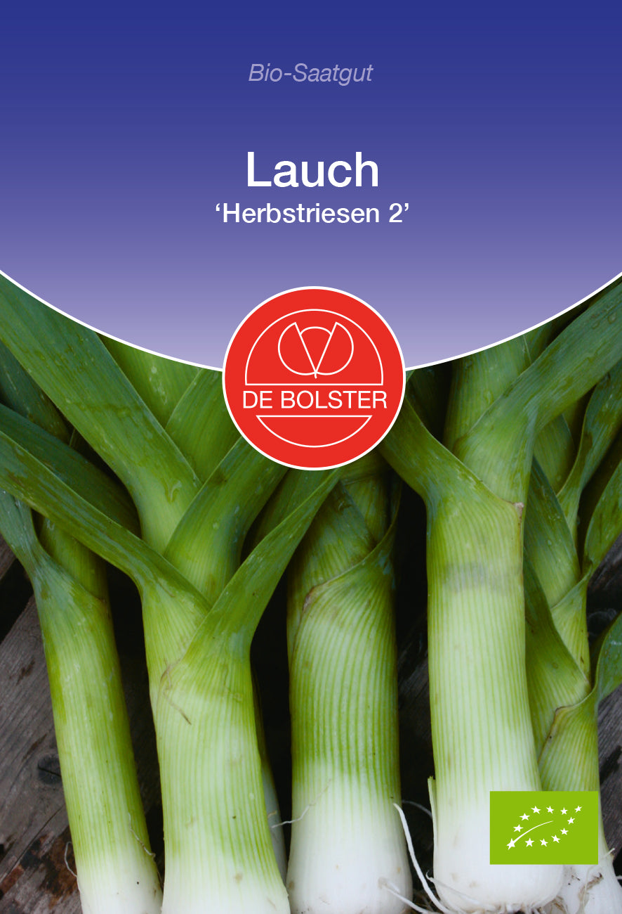 Artikelbild 1 von "BIO Lauch Herbstriesen Riesen 2" aus der Kategorie Lauchsamen
