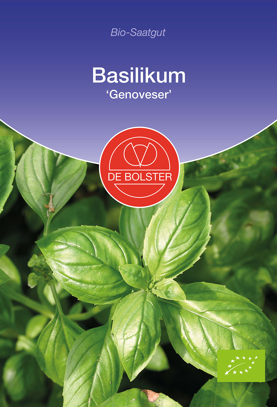 Artikelbild 1 von "BIO Basilikum Genoveser" aus der Kategorie Basilikumsamen