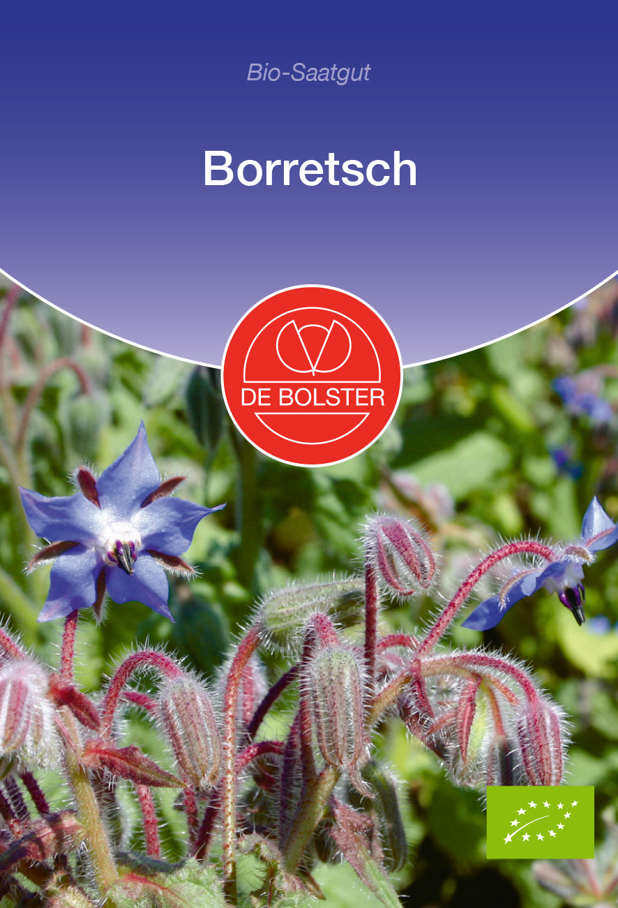 Artikelbild 1 von "BIO Borretsch [MHD 12/2025]" aus der Kategorie Borretschsamen
