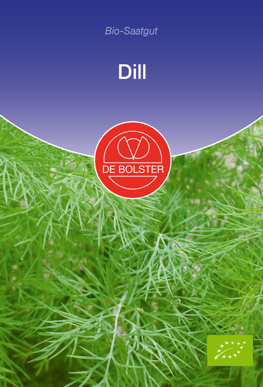Artikelbild 1 von "BIO Dill" aus der Kategorie Dillsamen
