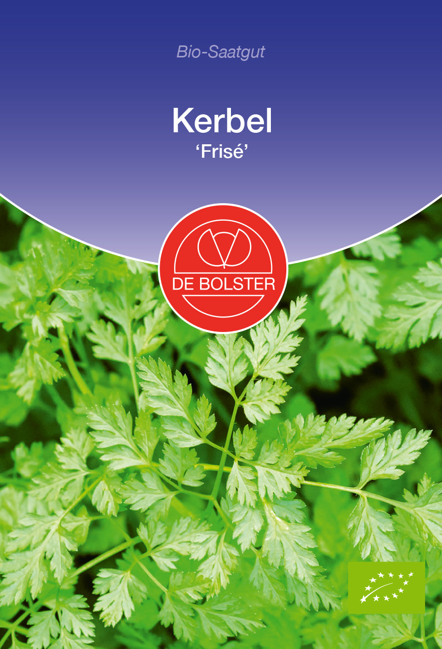 Artikelbild 1 von "BIO Kerbel Frise [MHD 12/2023]" aus der Kategorie Kerbelsamen