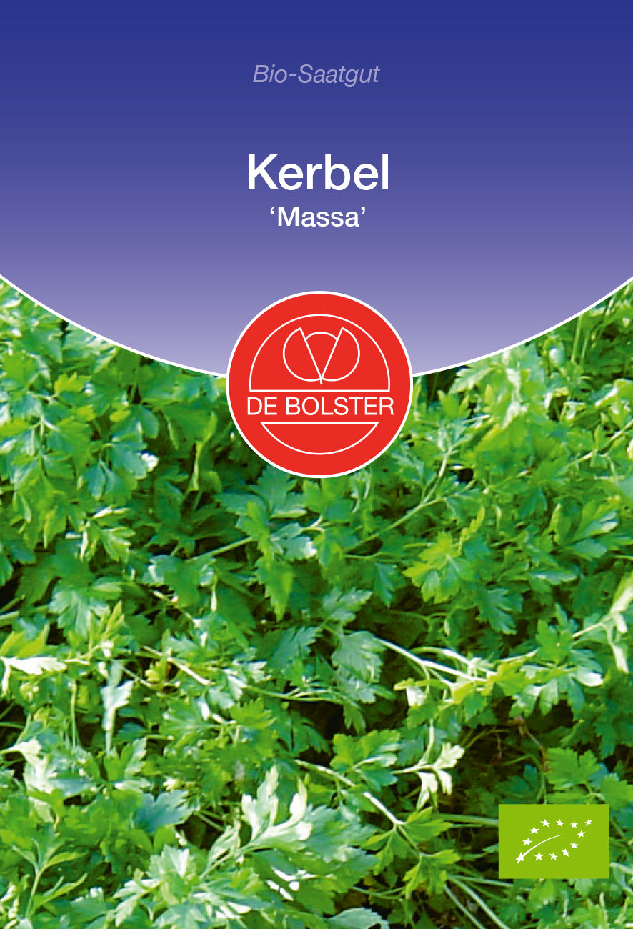 Artikelbild 1 von "BIO Kerbel Massa [MHD 12/2023]" aus der Kategorie Kerbelsamen