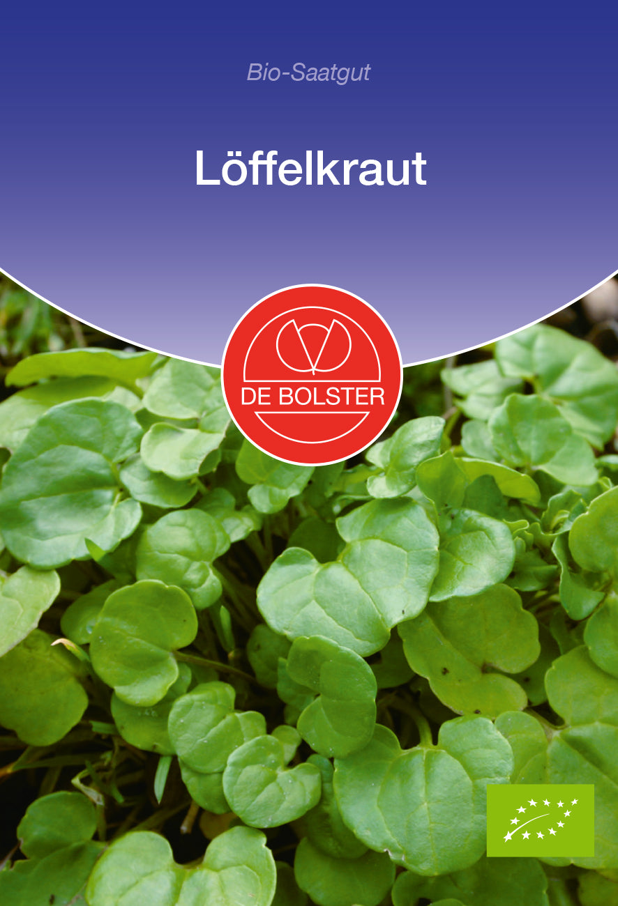 Artikelbild 1 von "BIO Löffelkraut" aus der Kategorie Kräutersamen