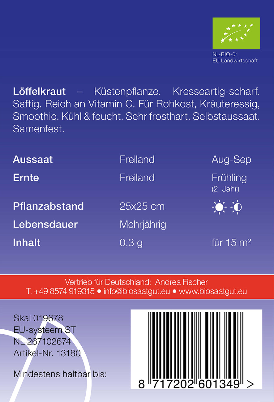 Artikelbild 2 von "BIO Löffelkraut" aus der Kategorie Kräutersamen