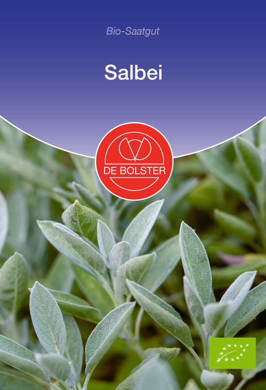 Salbei