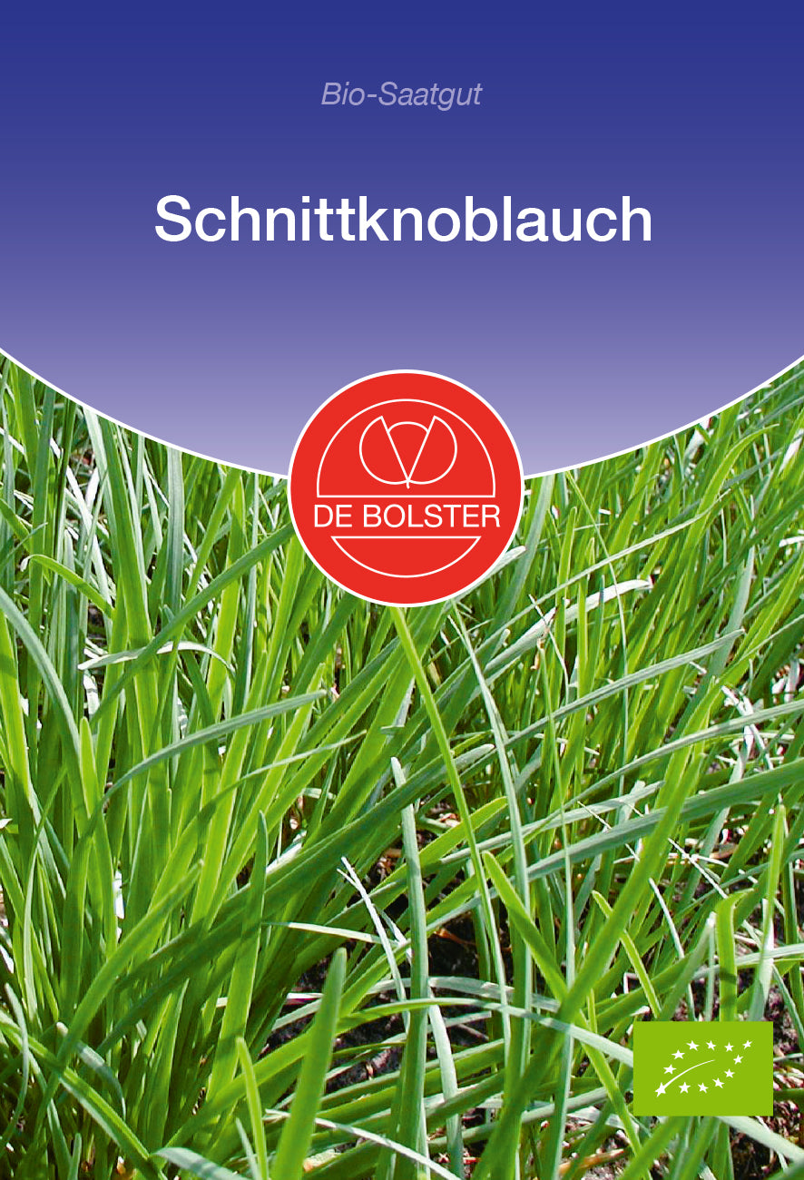 Artikelbild 1 von "BIO Schnittknoblauch" aus der Kategorie Knoblauchsamen