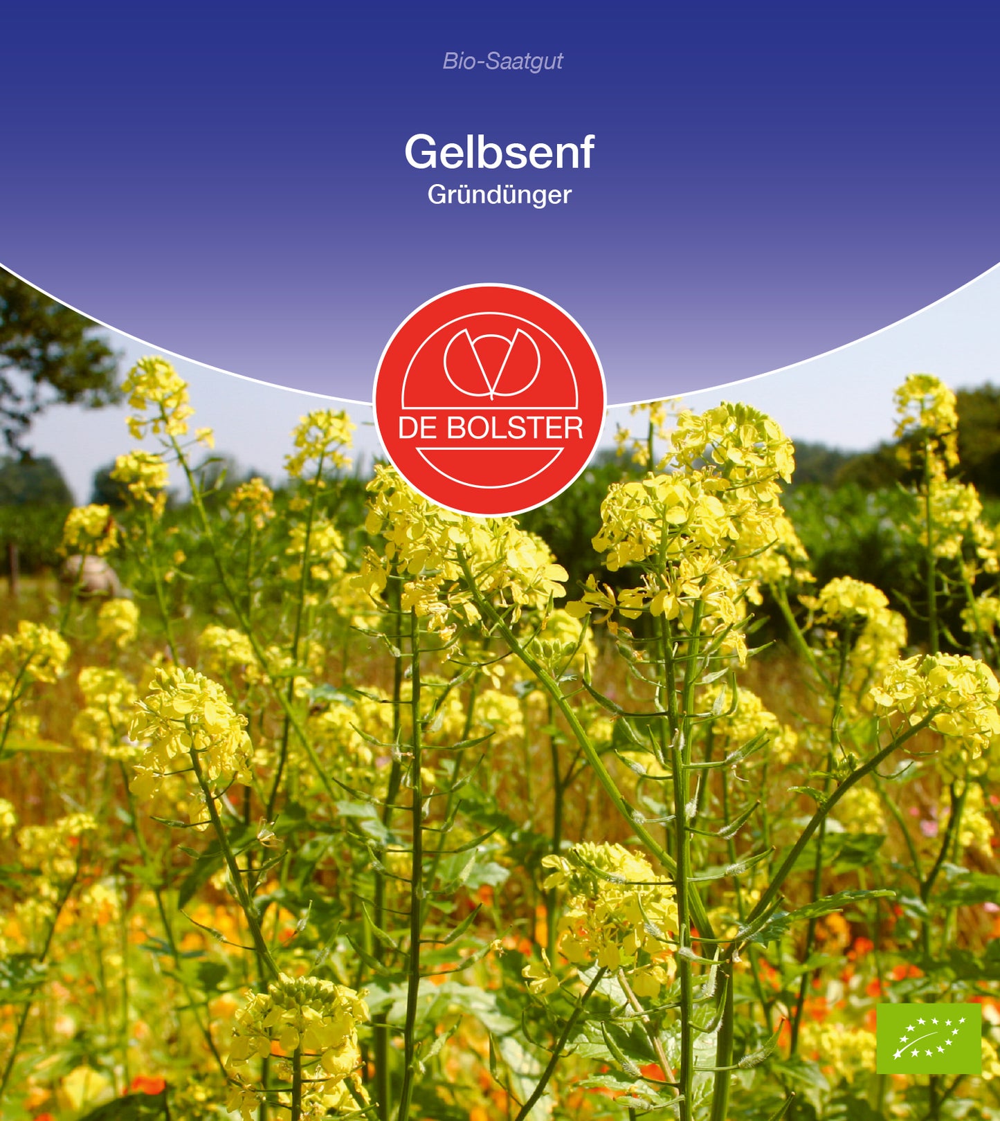 Artikelbild 1 von "BIO Gelbsenf Gründünger" aus der Kategorie Gründünger & -düngung