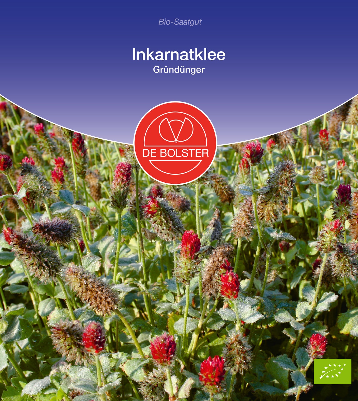 Artikelbild 1 von "BIO Inkarnatklee Gründünger" aus der Kategorie Gründünger & -düngung
