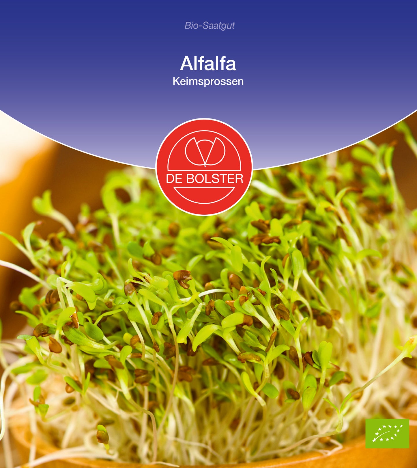 Artikelbild 1 von "BIO Alfalfa Keimsprossen" aus der Kategorie Keimsprossen