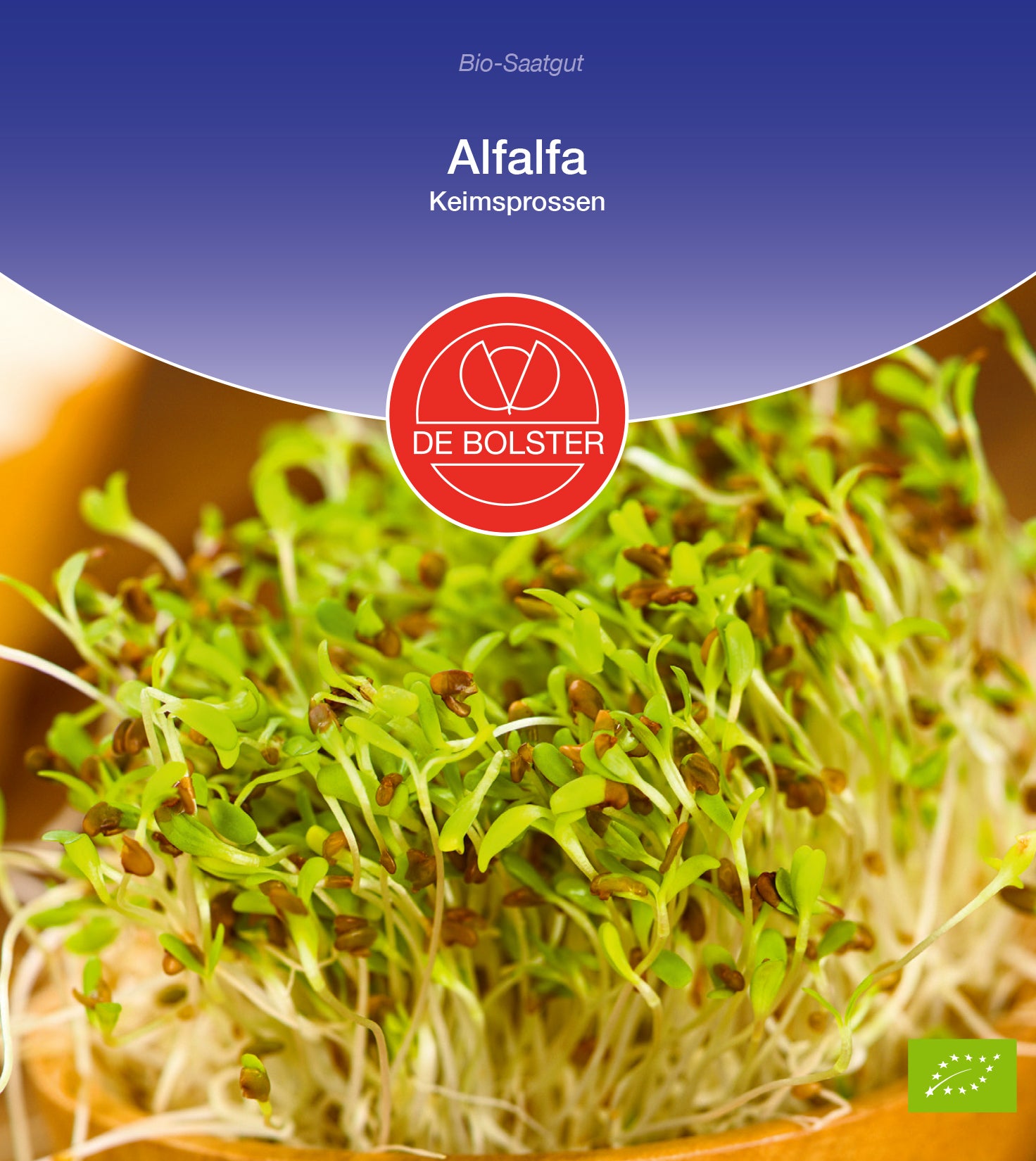 Artikelbild 1 von "BIO Alfalfa Keimsprossen" aus der Kategorie Keimsprossen