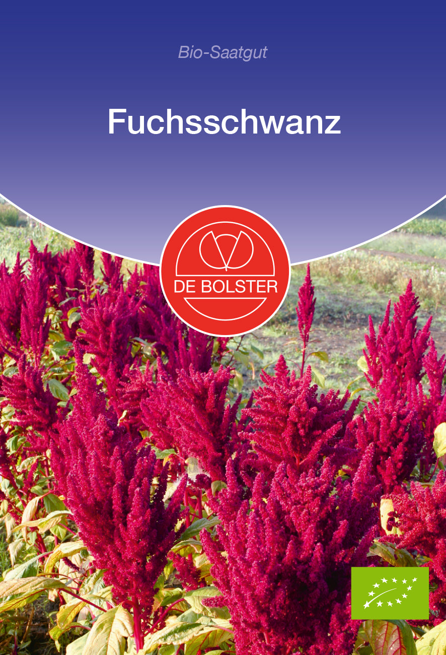 Artikelbild 1 von "BIO Fuchsschwanz" aus der Kategorie Fuchsschwanzsamen