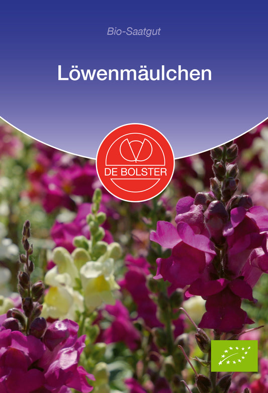 Artikelbild 1 von "BIO Löwenmäulchen" aus der Kategorie Löwenmaulsamen