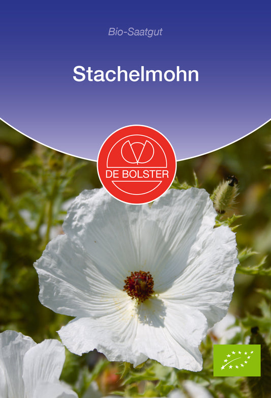 Stachelmohn | BIO Mohnsamen von De Bolster