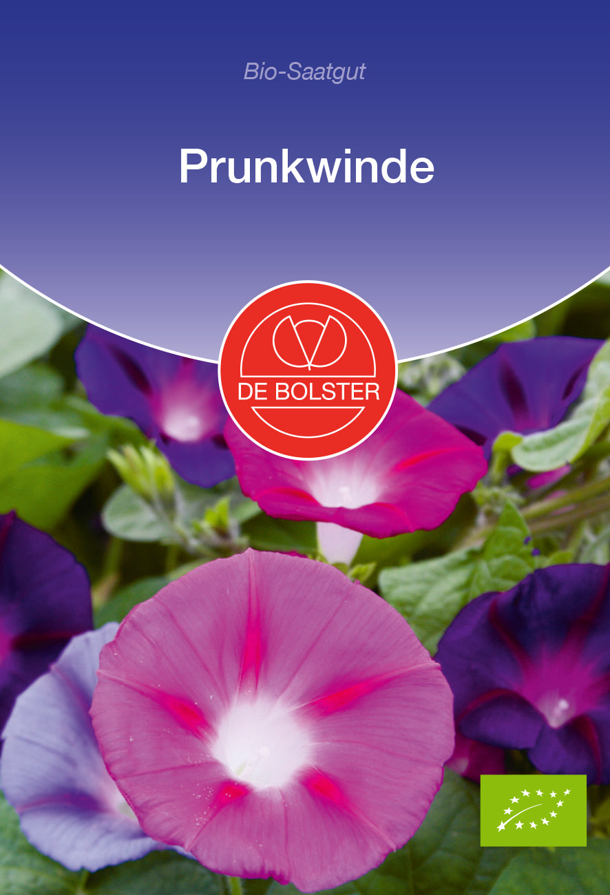 Artikelbild 1 von "BIO Prunkwinde [MHD 12/2024]" aus der Kategorie Windensamen