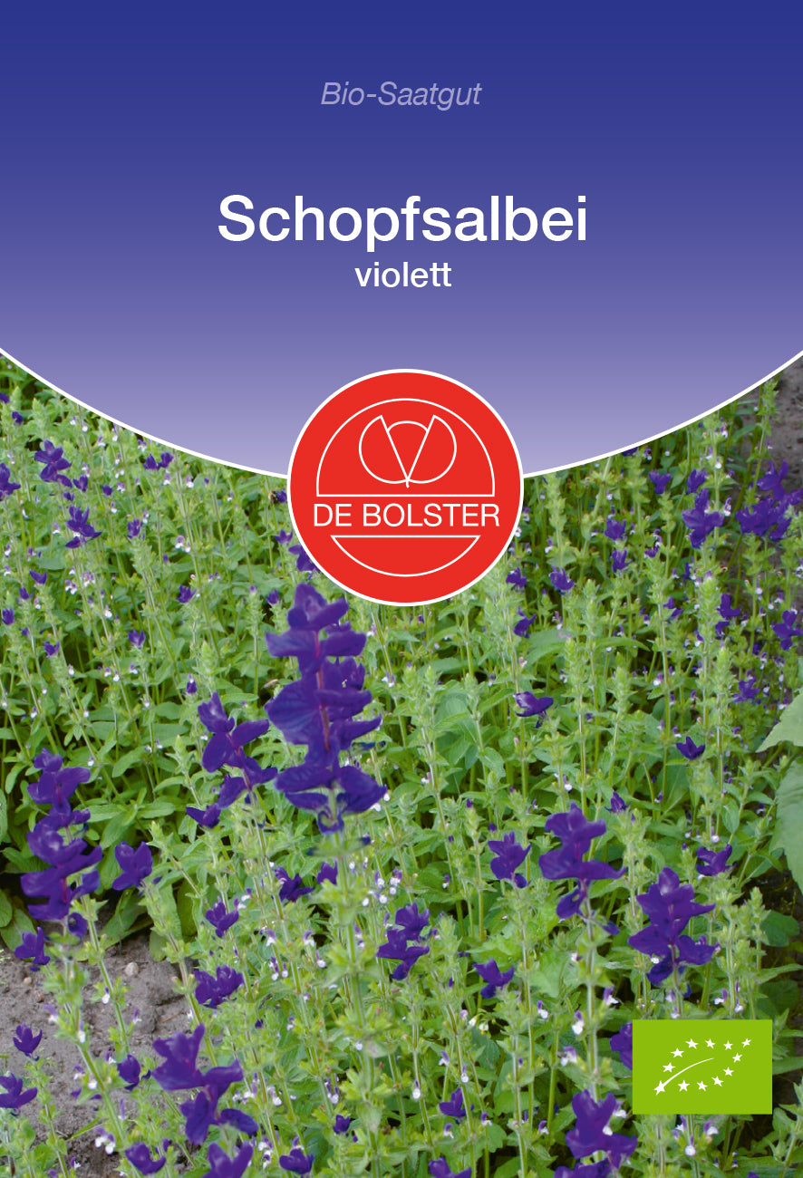 Artikelbild 1 von "BIO Schopfsalbei violett [MHD 12/2025]" aus der Kategorie Blumensamen