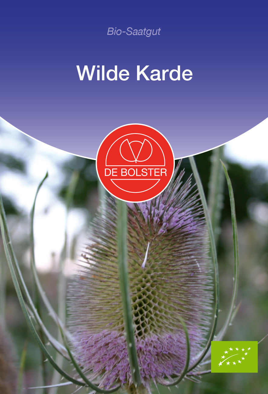 Artikelbild 1 von "BIO Wilde Karde" aus der Kategorie Blumensamen