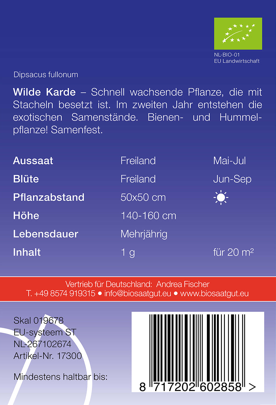 Artikelbild 2 von "BIO Wilde Karde" aus der Kategorie Blumensamen