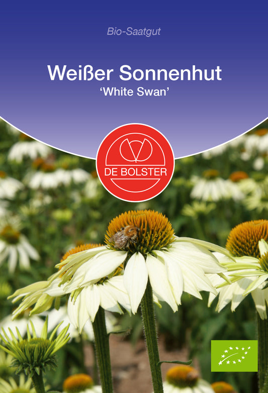 Artikelbild 1 von "BIO Weißer Sonnenhut White Swan" aus der Kategorie Sonnenhutsamen