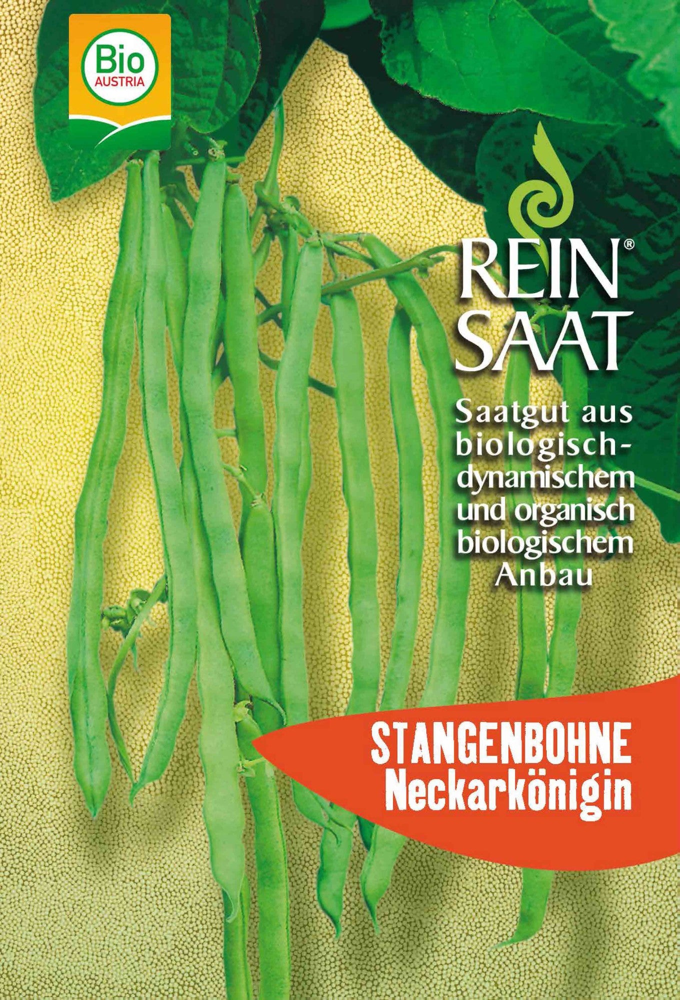 Artikelbild 1 von "BIO Stangenbohne Neckarkönigin [MHD 12/2025]"