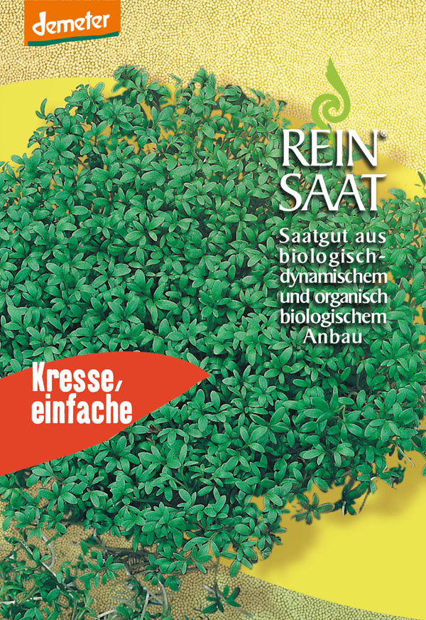 Artikelbild 1 von "BIO Kresse Einfache [MHD 12/2022]" aus der Kategorie Kressesamen