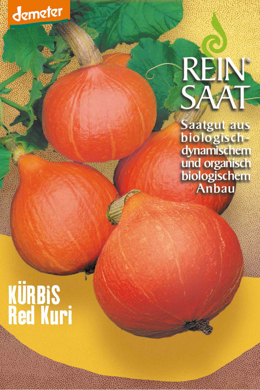 Artikelbild 1 von "BIO Kürbis Red Kuri" aus der Kategorie Kürbissamen