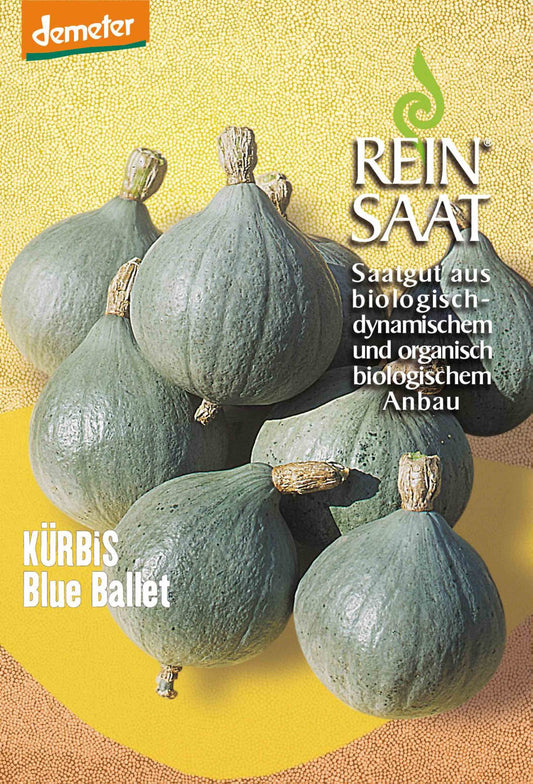 Artikelbild 1 von "BIO Kürbis Blue Ballet" aus der Kategorie Kürbissamen
