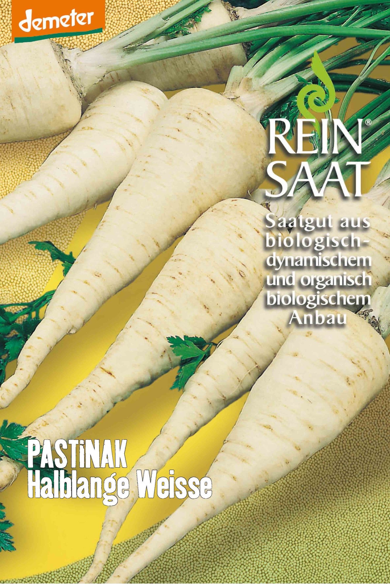 Artikelbild 1 von "BIO Pastinake Halblange Weiße" aus der Kategorie Pastinakensamen