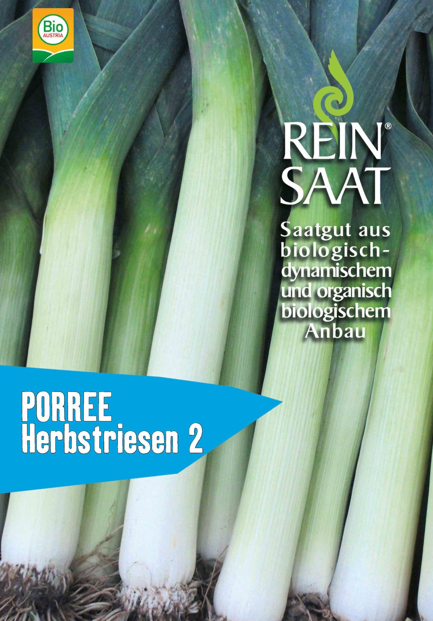 Artikelbild 1 von "BIO Porree Hannibal" aus der Kategorie Lauchsamen