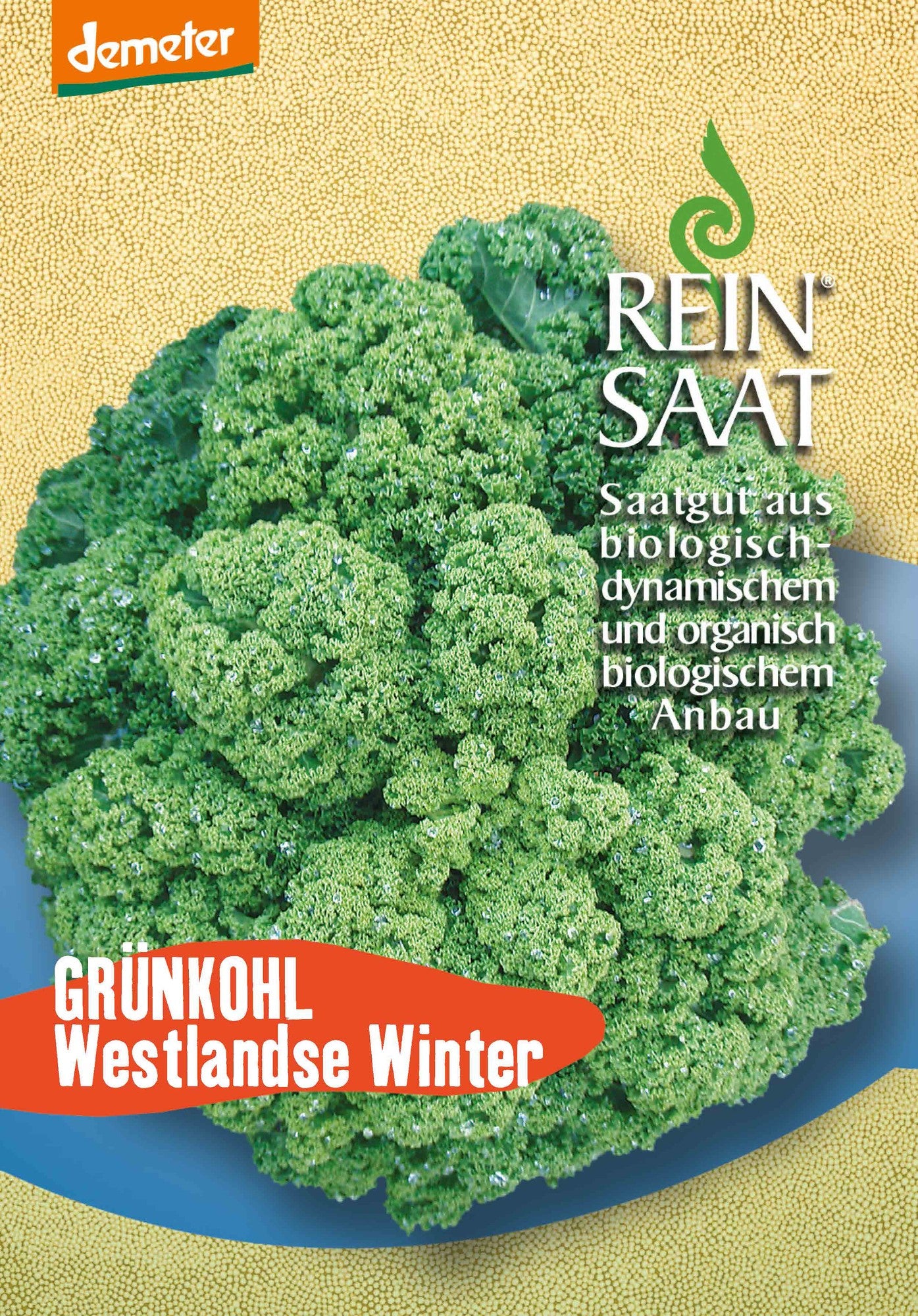 Artikelbild 1 von "BIO Grünkohl Westlandse Winter" aus der Kategorie Grünkohlsamen