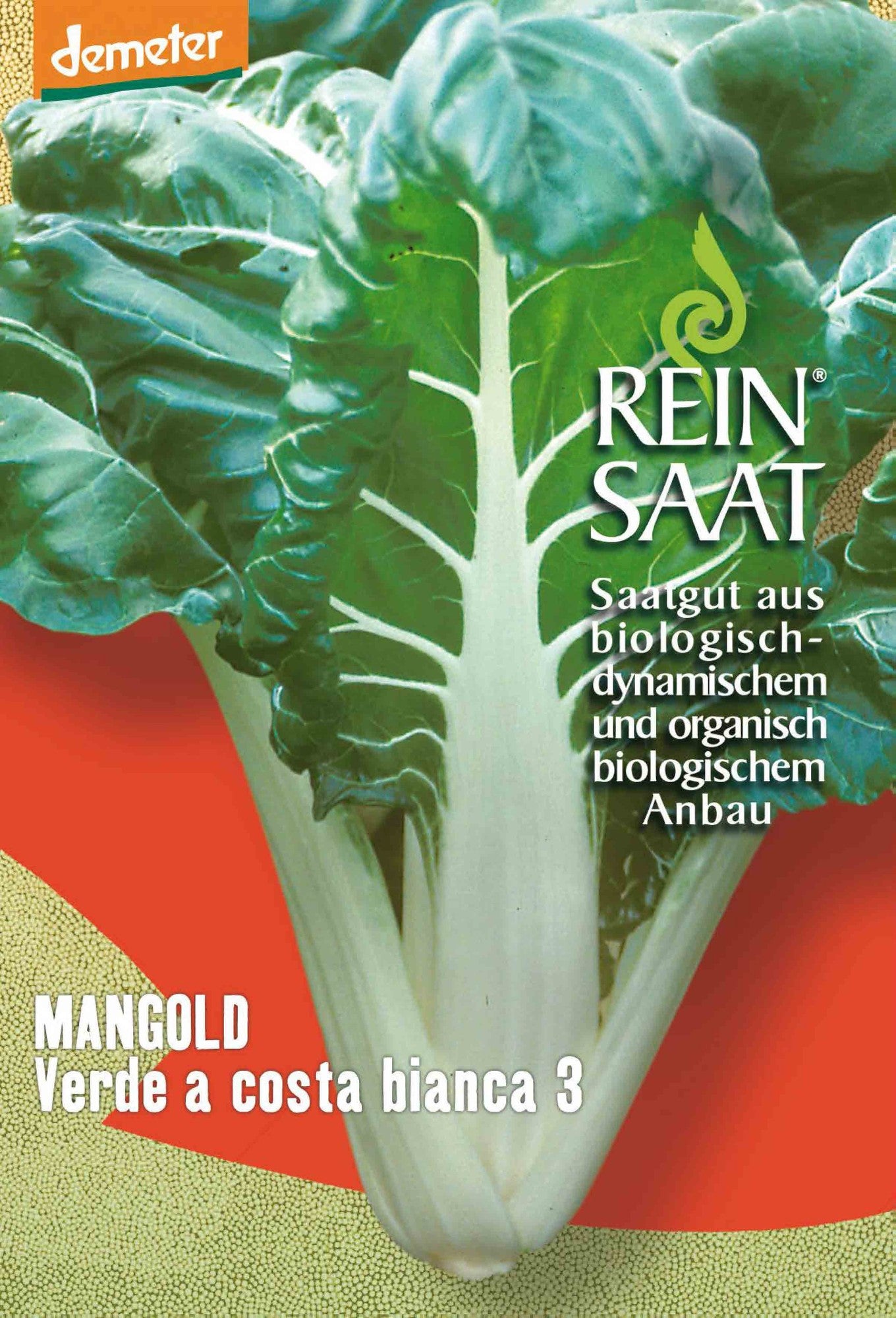 Artikelbild 1 von "BIO Mangold Verde a costa bianca 3" aus der Kategorie Mangoldsamen