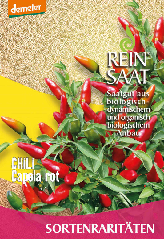 Chili Capela rot | BIO Chilisamen von Reinsaat