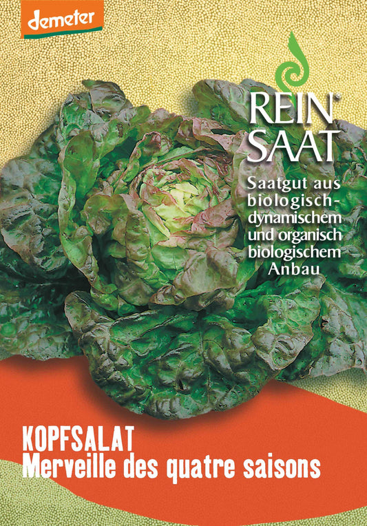 Artikelbild 1 von "BIO Kopfsalat Merveille des quatre sais." aus der Kategorie Kopfsalatsamen