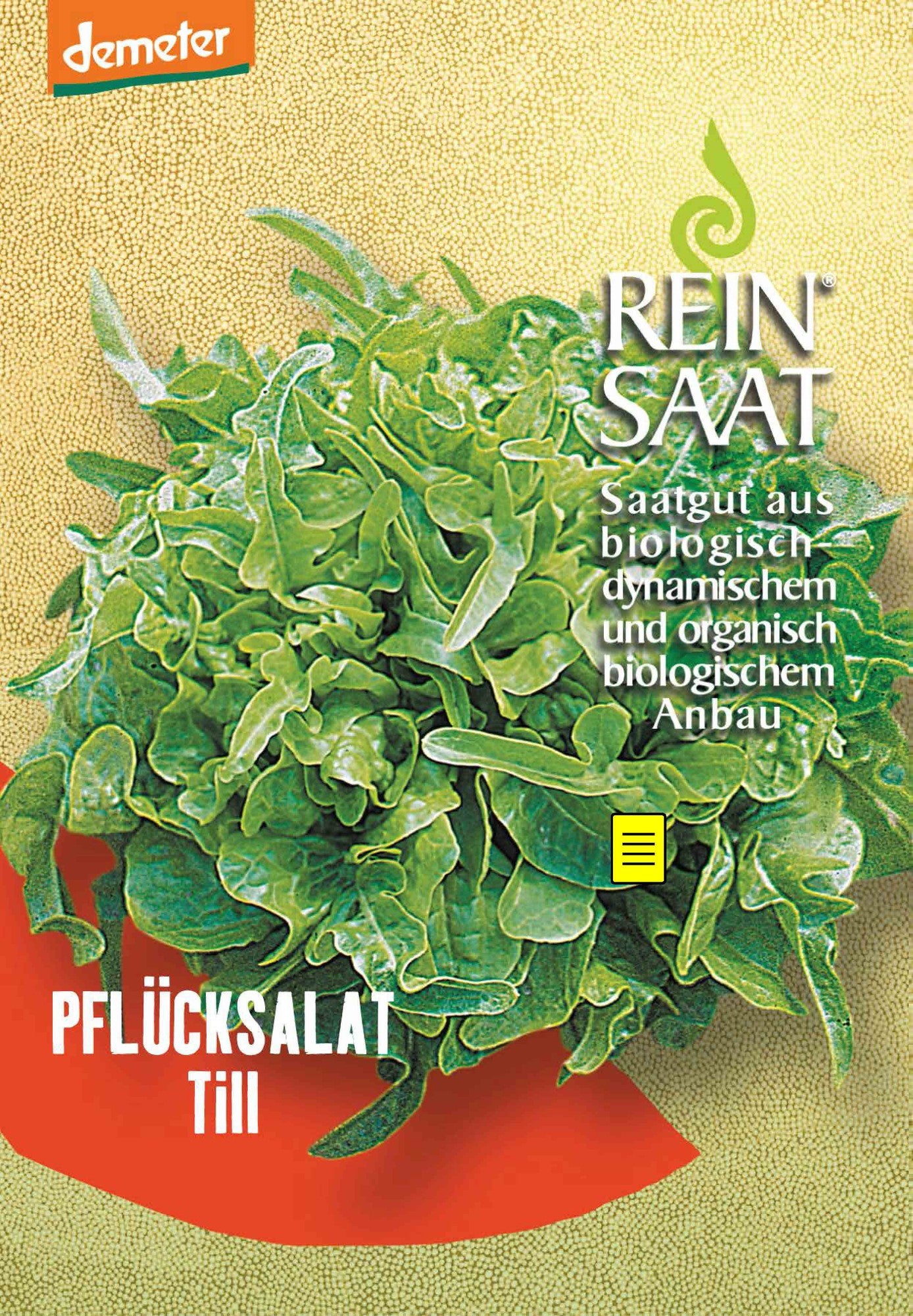 Artikelbild 1 von "BIO Pflücksalat Till" aus der Kategorie Pflücksalatsamen